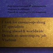 Ищем русскоязычного компьютерного специалиста (фрилансера)