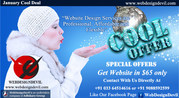 January Special Offers Get Website in USD65