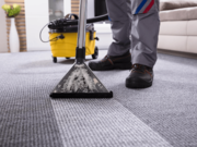 Professional Carpet Cleaning In Canberra